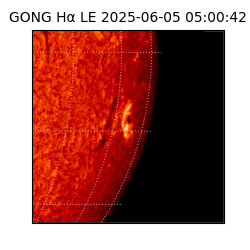 gong - 2025-06-05T05:00:42