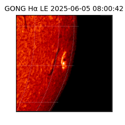 gong - 2025-06-05T08:00:42