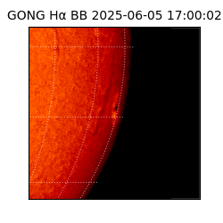 gong - 2025-06-05T17:00:02