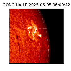 gong - 2025-06-05T06:00:42
