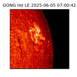 gong - 2025-06-05T07:00:42