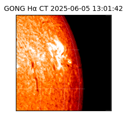 gong - 2025-06-05T13:01:42