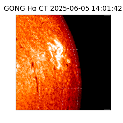 gong - 2025-06-05T14:01:42