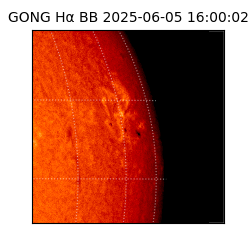 gong - 2025-06-05T16:00:02