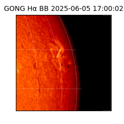 gong - 2025-06-05T17:00:02