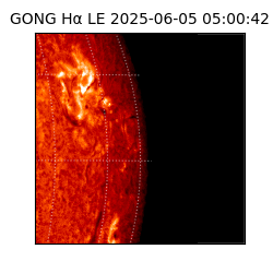 gong - 2025-06-05T05:00:42