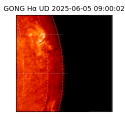 gong - 2025-06-05T09:00:02