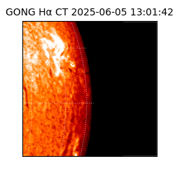 gong - 2025-06-05T13:01:42