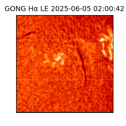 gong - 2025-06-05T02:00:42