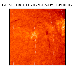gong - 2025-06-05T09:00:02