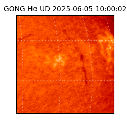 gong - 2025-06-05T10:00:02