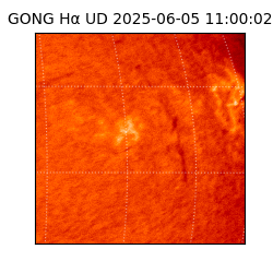 gong - 2025-06-05T11:00:02