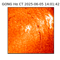 gong - 2025-06-05T14:01:42