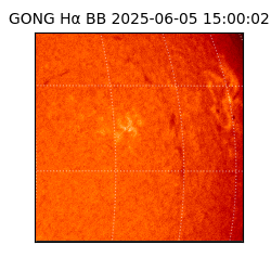 gong - 2025-06-05T15:00:02