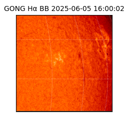 gong - 2025-06-05T16:00:02