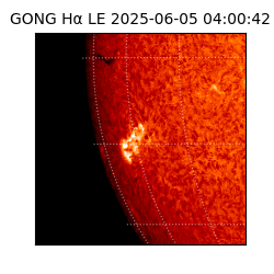 gong - 2025-06-05T04:00:42