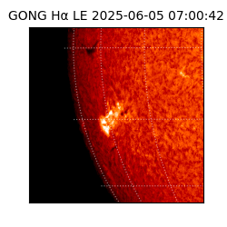 gong - 2025-06-05T07:00:42