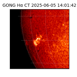 gong - 2025-06-05T14:01:42