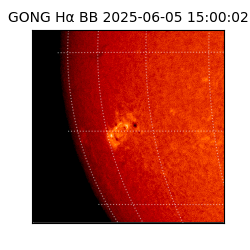 gong - 2025-06-05T15:00:02