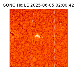 gong - 2025-06-05T02:00:42