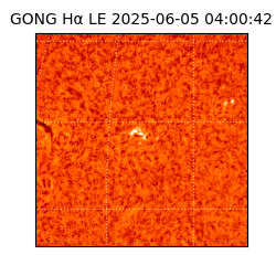 gong - 2025-06-05T04:00:42
