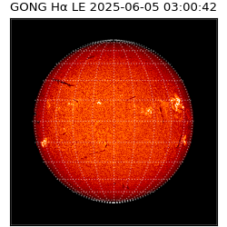 gong - 2025-06-05T03:00:42