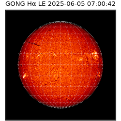 gong - 2025-06-05T07:00:42