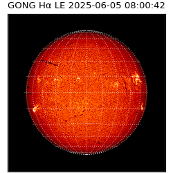gong - 2025-06-05T08:00:42