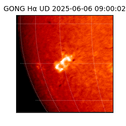 gong - 2025-06-06T09:00:02