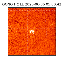 gong - 2025-06-06T05:00:42