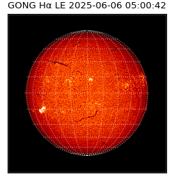 gong - 2025-06-06T05:00:42