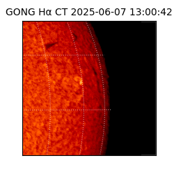 gong - 2025-06-07T13:00:42