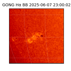 gong - 2025-06-07T23:00:02