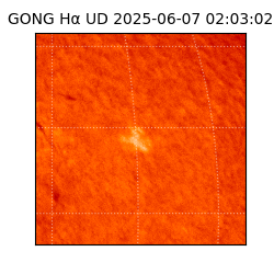 gong - 2025-06-07T02:03:02