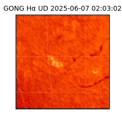 gong - 2025-06-07T02:03:02