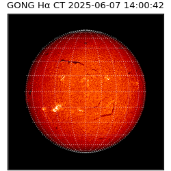 gong - 2025-06-07T14:00:42