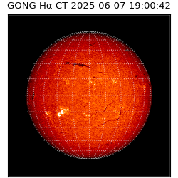 gong - 2025-06-07T19:00:42