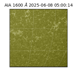 saia - 2025-06-08T05:00:14.126000