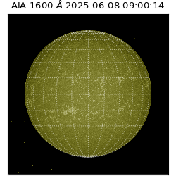 saia - 2025-06-08T09:00:14.126000