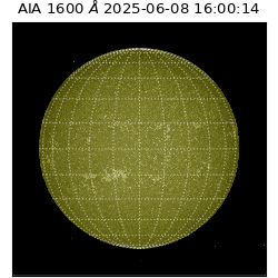 saia - 2025-06-08T16:00:14.129000