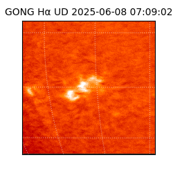 gong - 2025-06-08T07:09:02