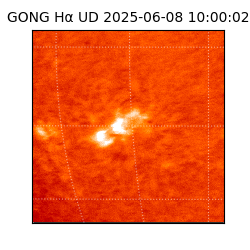 gong - 2025-06-08T10:00:02