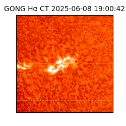 gong - 2025-06-08T19:00:42