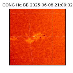 gong - 2025-06-08T21:00:02