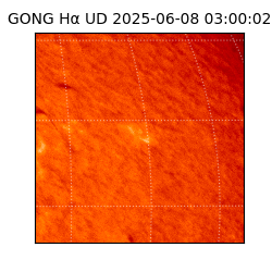 gong - 2025-06-08T03:00:02