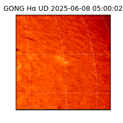 gong - 2025-06-08T05:00:02