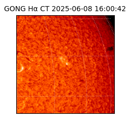 gong - 2025-06-08T16:00:42