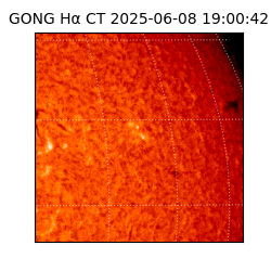 gong - 2025-06-08T19:00:42