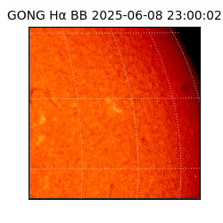 gong - 2025-06-08T23:00:02