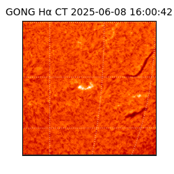 gong - 2025-06-08T16:00:42